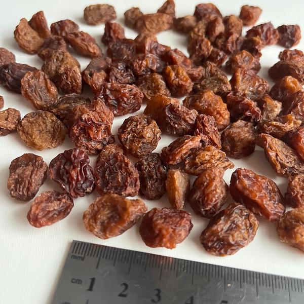 Rozīnes MANUCCA BIO