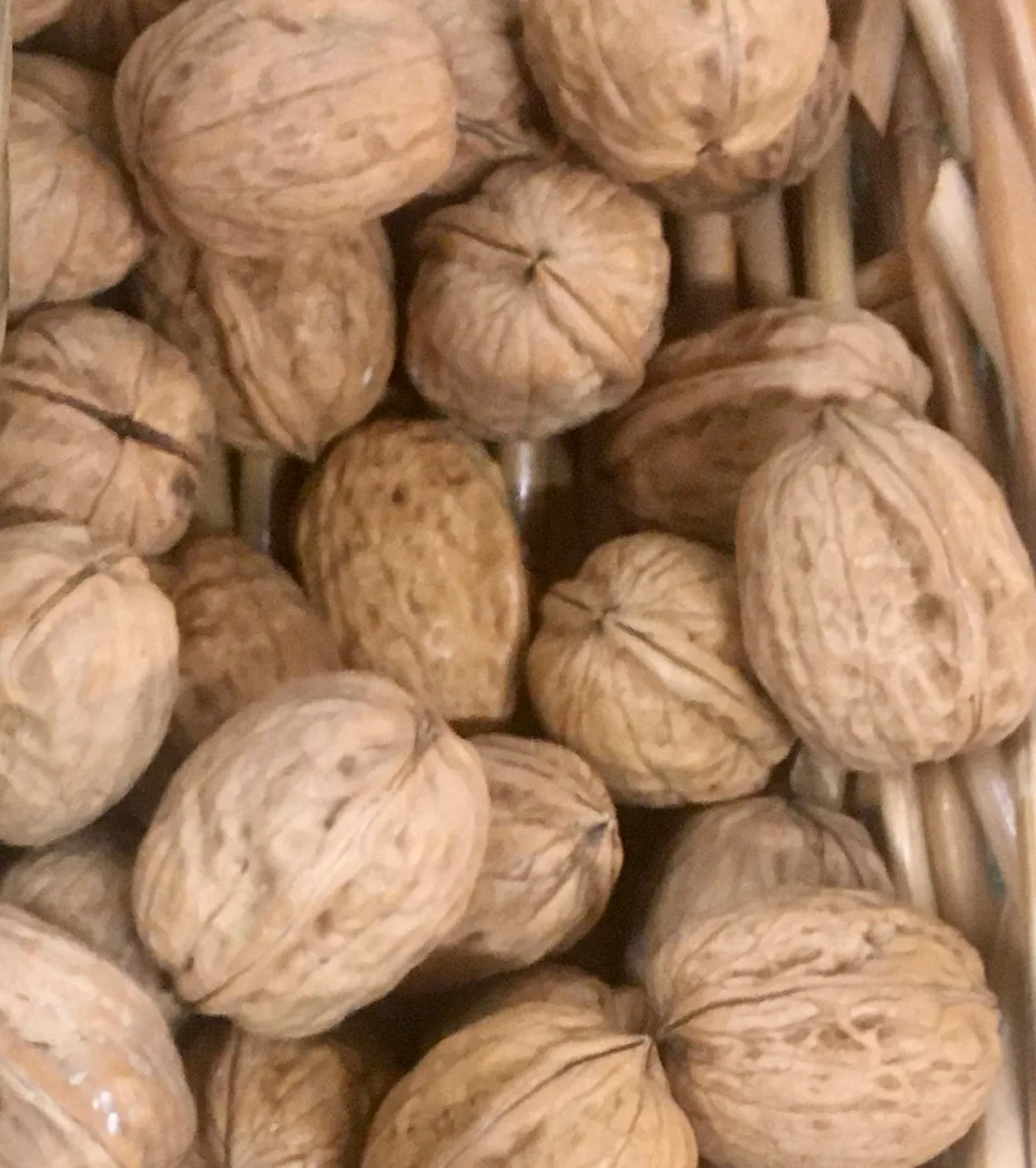 Valrieksti čaulā BIO